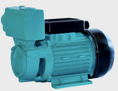 Поверхневий насос Euroaqua WZ 250 0,25 kw чавун 103033 - Budline